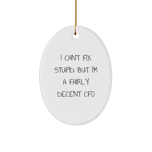 Funny CFO Gifts, Oval Ornament, I Can't Fix Stupid But I'm A Fairly Decent Cfo Gifts for Men, Women, Coworkers, Family - Christmas Unique Gifts from Friends - Image 1