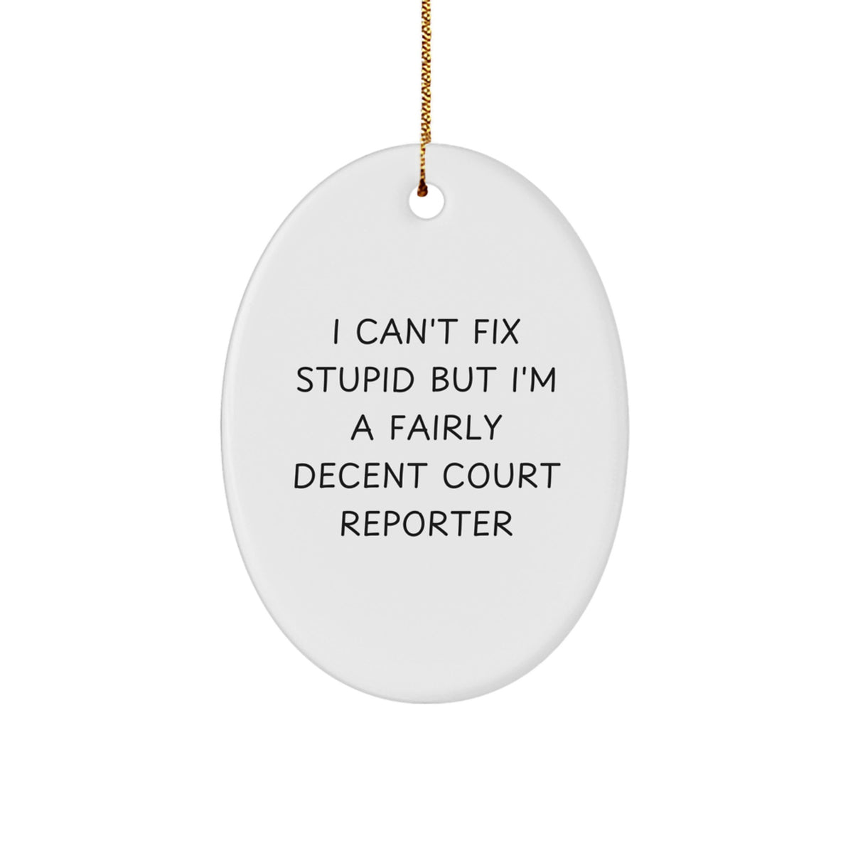 Funny Court Reporter Gifts for Men, Oval Ornament with I'm A Fairly Decent Court Reporter Quote, Christmas Unique Presents from Family - Image 1