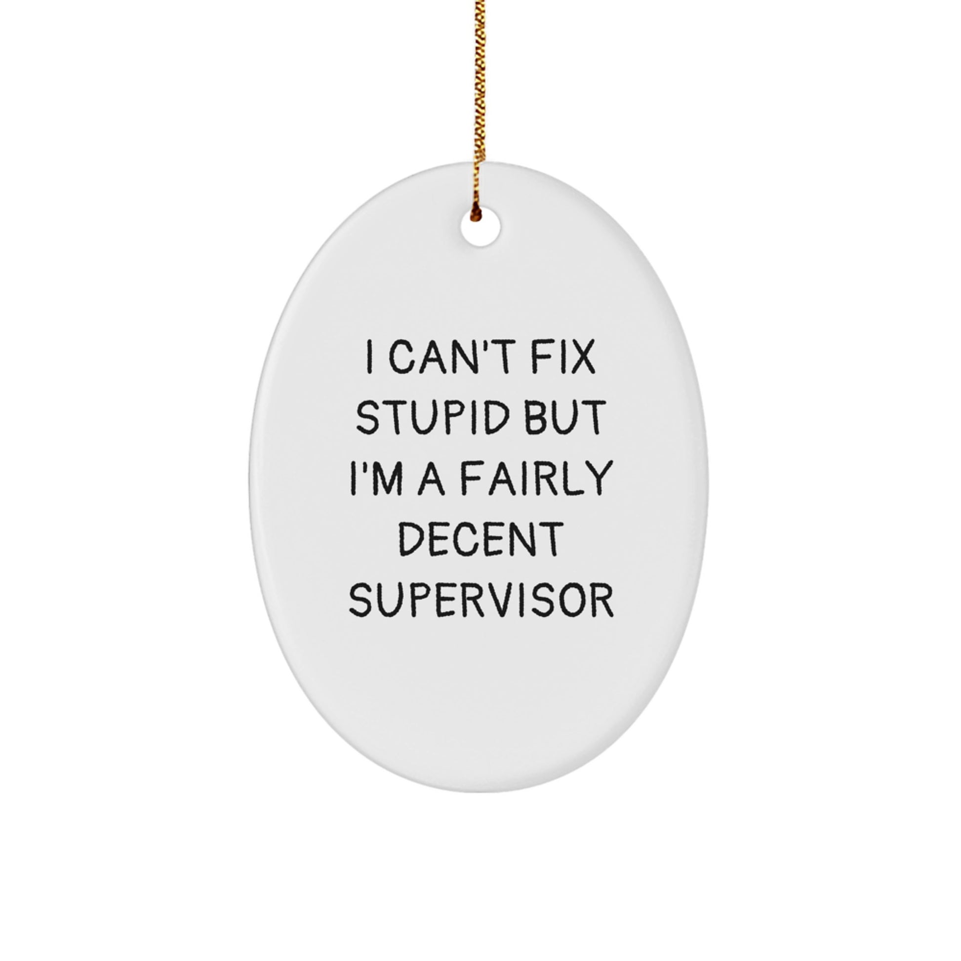 Funny Supervisor Gifts from Friends, 'I Can't Fix Stupid But I'm A Fairly Decent Supervisor' Oval Ornament for Christmas - Image 1