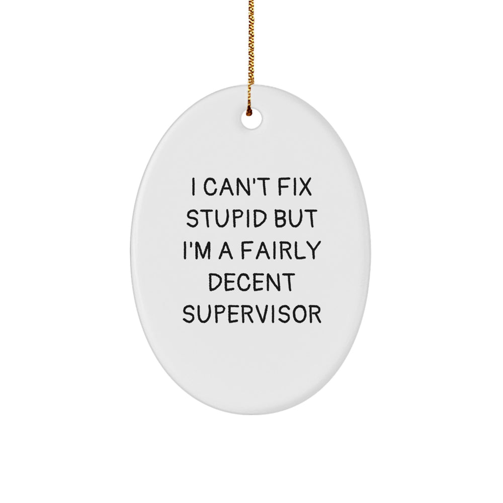 Funny Supervisor Gifts from Friends, 'I Can't Fix Stupid But I'm A Fairly Decent Supervisor' Oval Ornament for Christmas - Image 1
