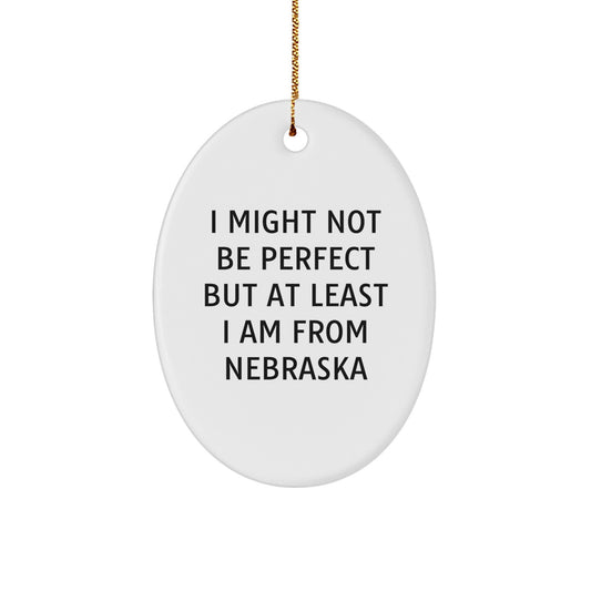 Funny Nebraska Oval Ornament Gifts from Friends and Family for Nebraska Lovers - I Might Not Be Perfect - Image 1