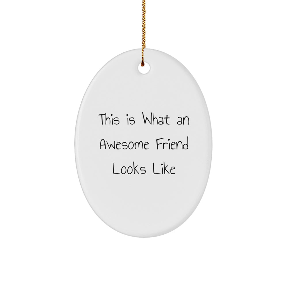 Funny Friend Christmas Unique Gifts from Men to Women Oval Ornament with Quote 'This Is What An Awesome Friend Looks Like' - Image 1
