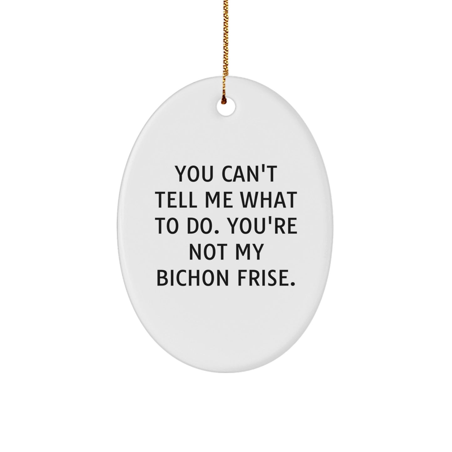 Bichon Frise Dog Fun Oval Ornament Gifts from Family for Christmas - Image 1
