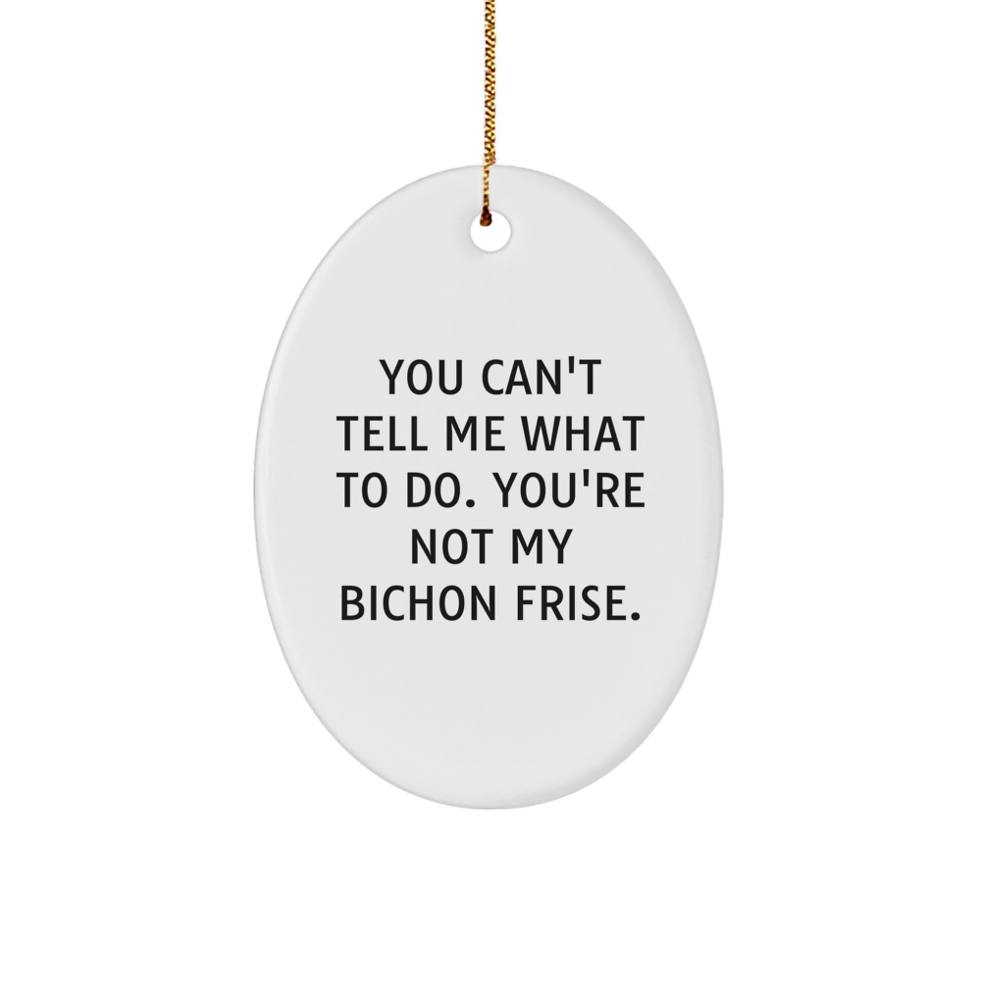 Bichon Frise Dog Fun Oval Ornament Gifts from Family for Christmas - Image 1