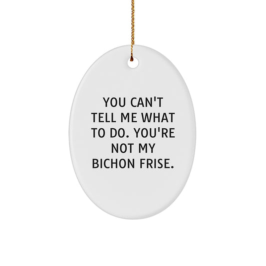 Bichon Frise Dog Fun Oval Ornament Gifts from Family for Christmas - Image 1