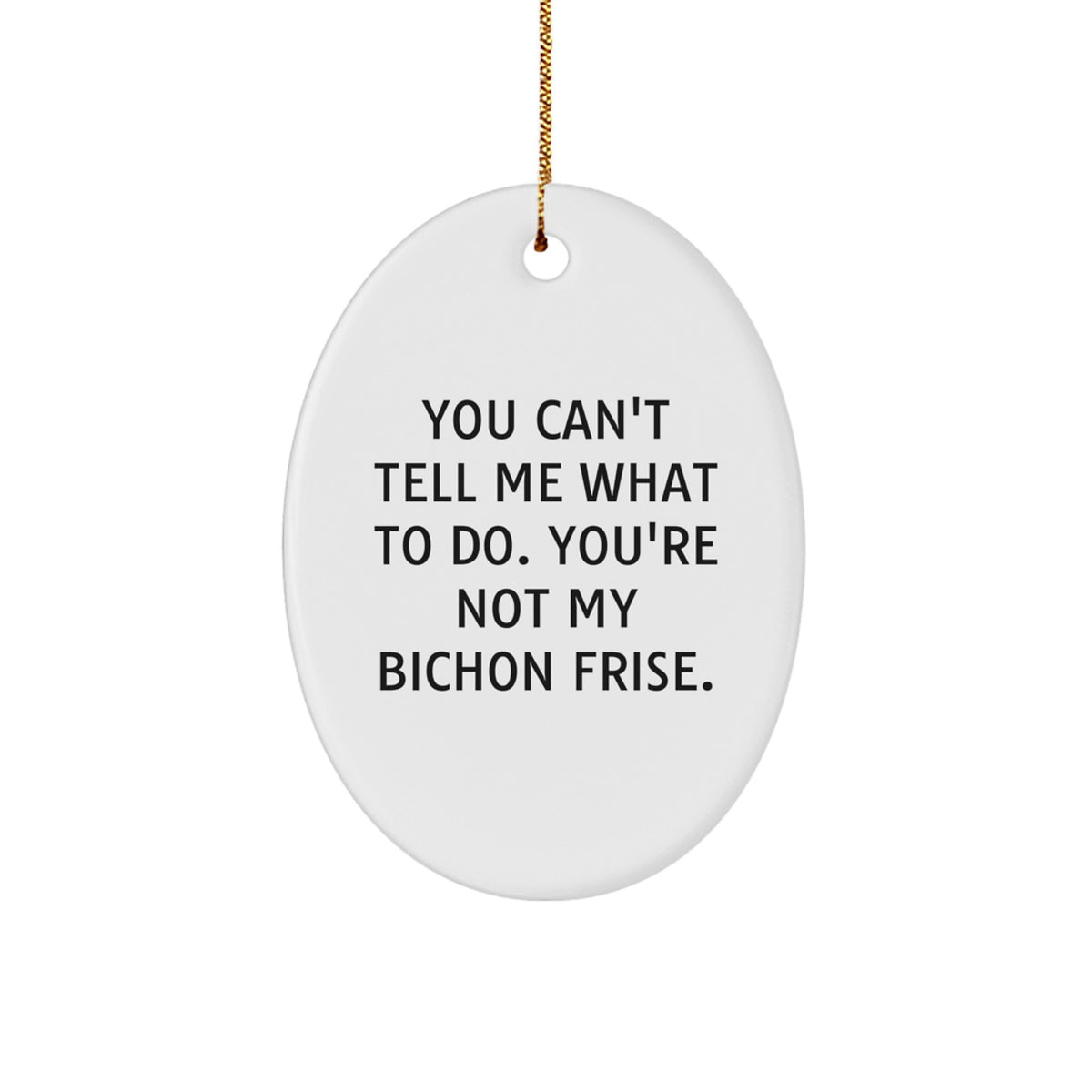 Bichon Frise Dog Fun Oval Ornament Gifts from Family for Christmas - Image 1