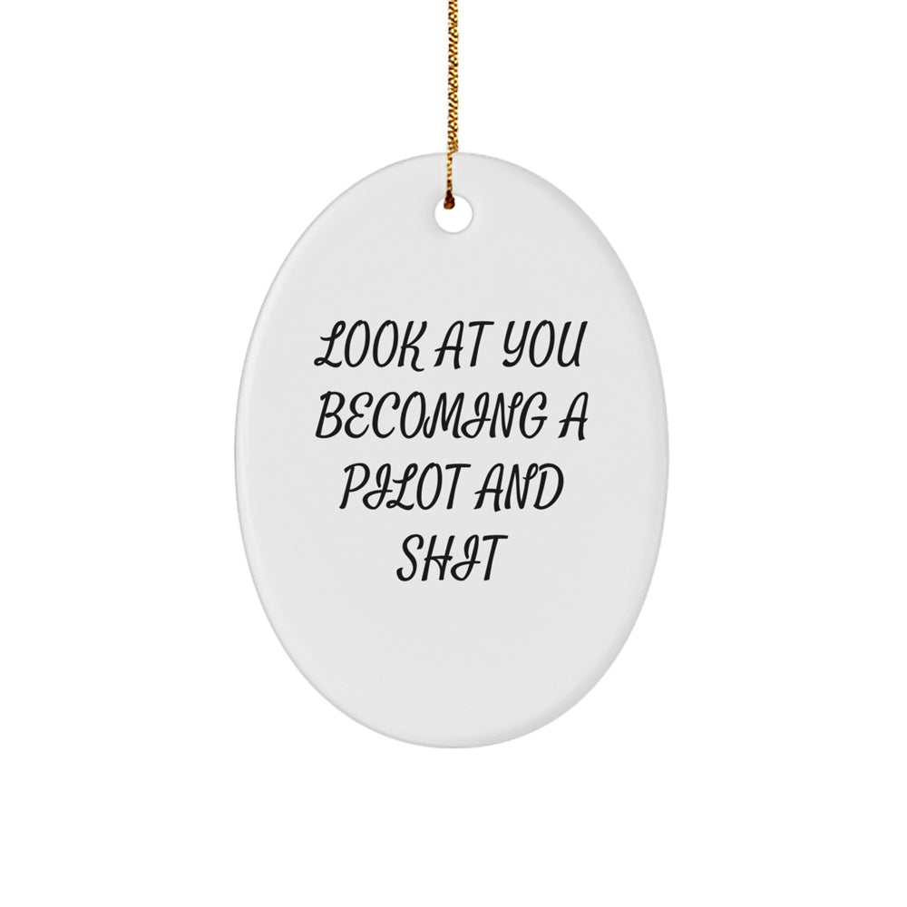 Funny Pilot Gifts for Men, Oval Ornament with Look At You Becoming A Pilot And Shit, Christmas Unique Presents from Friends - Image 1