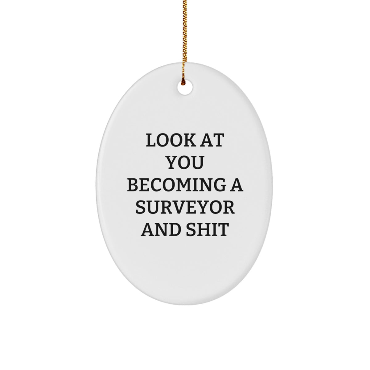 Funny Surveyor Gifts for Men, Women, Friends, and Coworkers - Look At You Becoming A Surveyor And Shit Oval Ornament for Christmas - Image 1