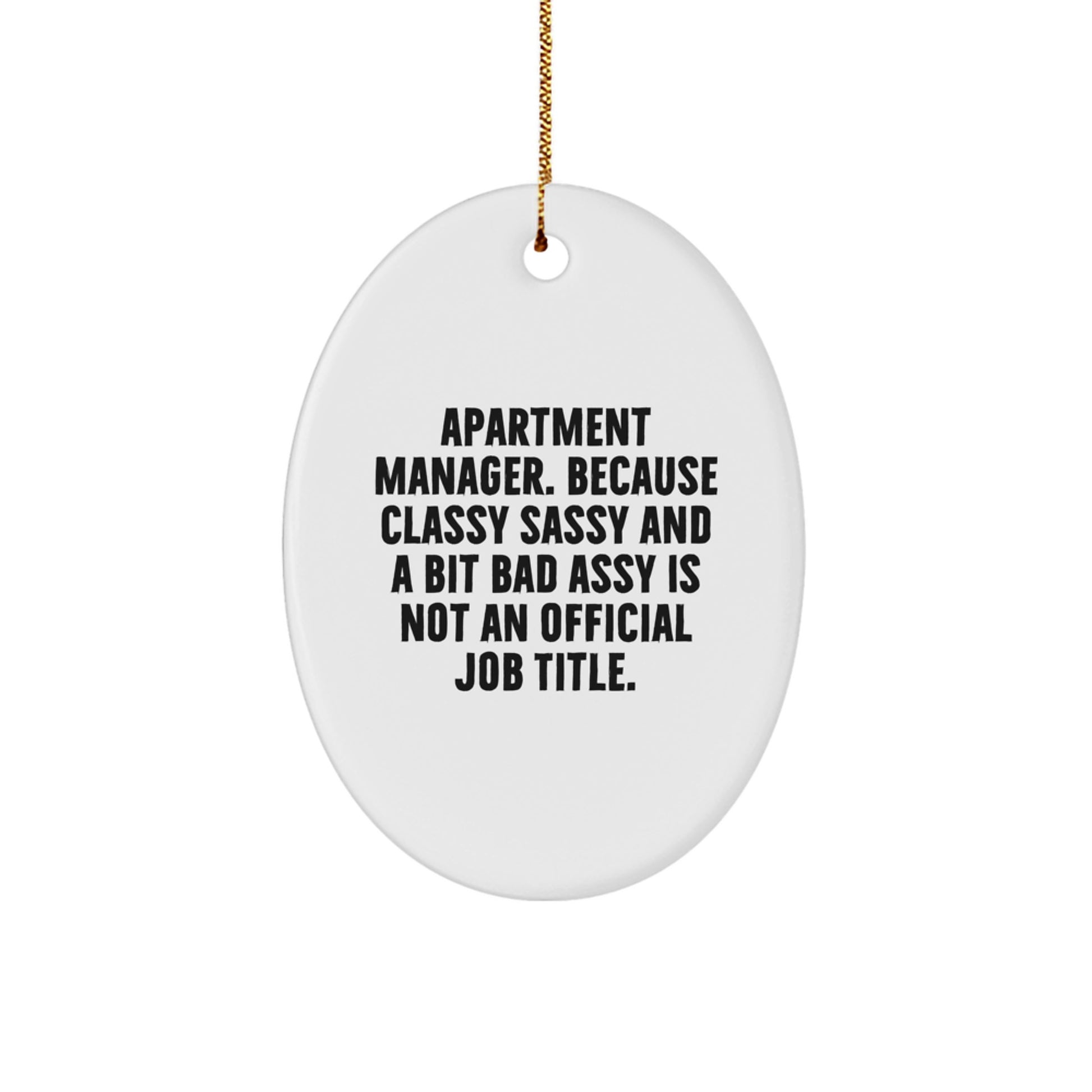 Funny Apartment Manager Gifts from Friends for Christmas Unique Oval Ornament - 'Apartment Manager. Because Classy Sassy And A Bit Fearlessy Is Not An Official Job Title.' - Image 1