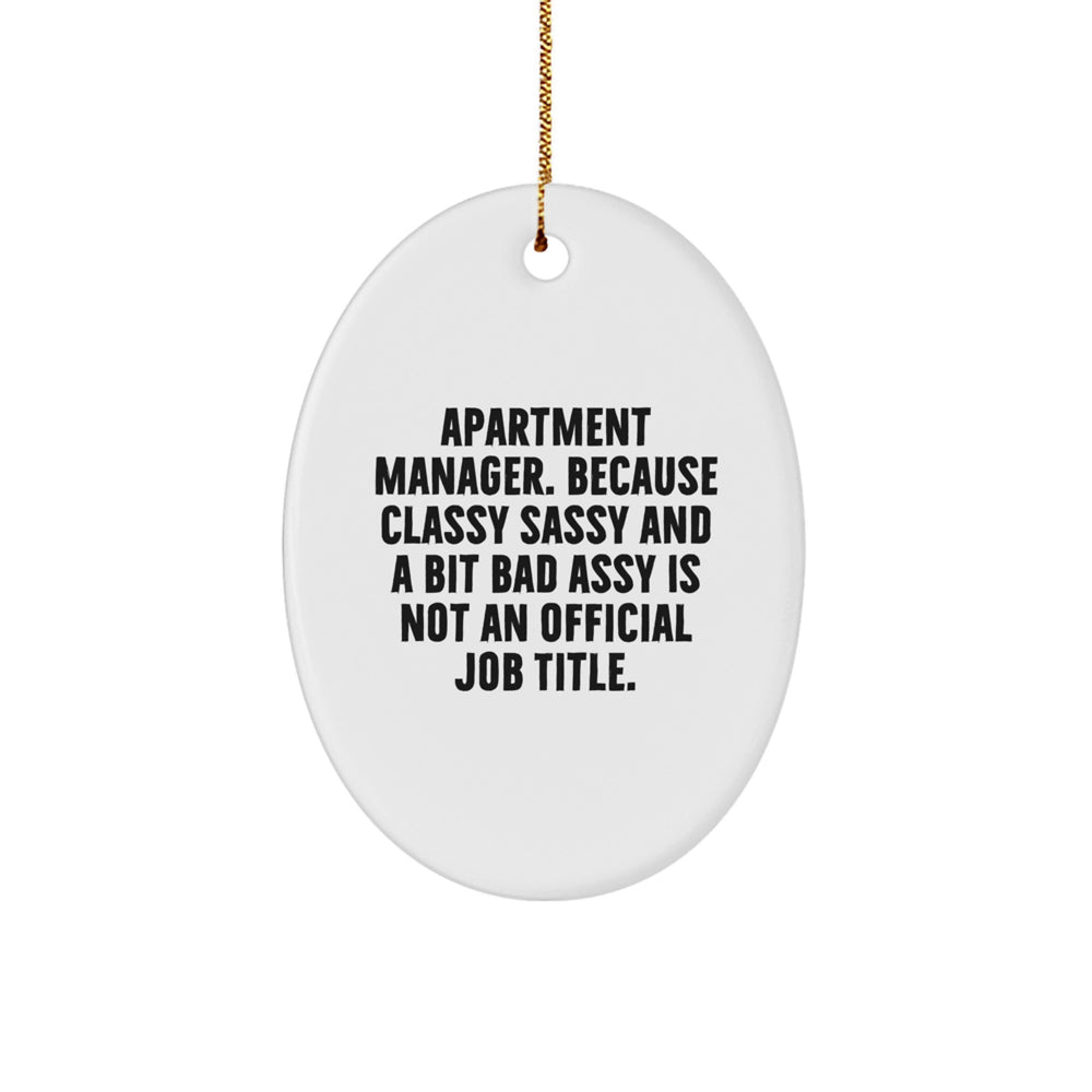 Funny Apartment Manager Gifts from Friends for Christmas Unique Oval Ornament - 'Apartment Manager. Because Classy Sassy And A Bit Fearlessy Is Not An Official Job Title.' - Image 1