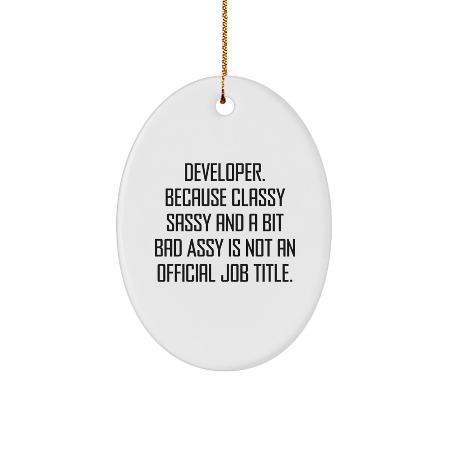 Developer Funny Oval Ornament Gifts from Friends, Family, or Coworkers for Christmas Unique Presents - Image 1