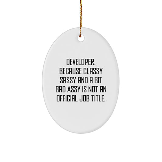 Developer Funny Oval Ornament Gifts from Friends, Family, or Coworkers for Christmas Unique Presents - Image 1