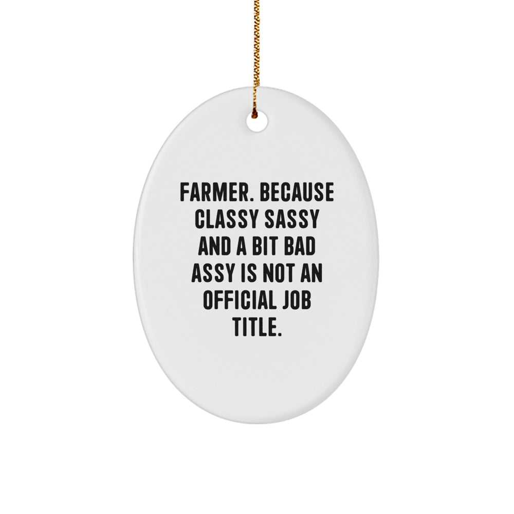 Farmer Gifts from Friends, 'Funny' Oval Ornament for Christmas - White, Oval Shaped, Durable MDF with High-Gloss Finish - Image 1