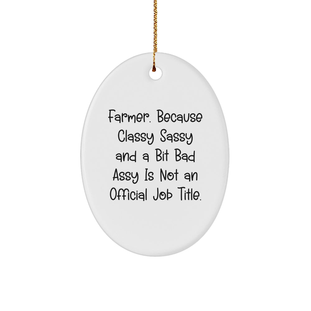 Funny Farmer Gifts from Friends for Christmas Oval Ornament - 'Farmer. Because Classy Sassy And A Bit Fearlessy Is Not An Official Job Title.' - Image 1