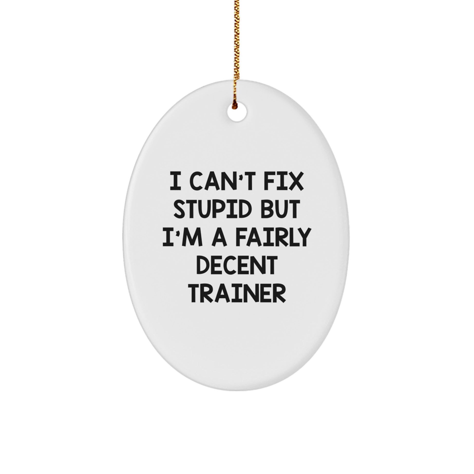 Trainer Gifts from Friends and Family - I Can't Fix Stupid But I'm A Fairly Decent Trainer Oval Ornament, White, Christmas - Image 1