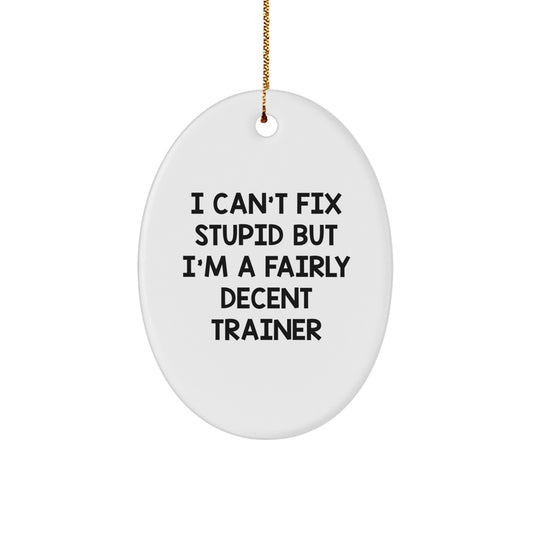 Trainer Gifts from Friends and Family - I Can't Fix Stupid But I'm A Fairly Decent Trainer Oval Ornament, White, Christmas - Image 1
