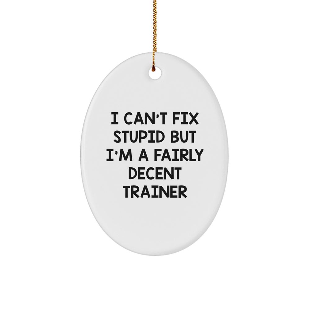 Trainer Gifts from Friends and Family - I Can't Fix Stupid But I'm A Fairly Decent Trainer Oval Ornament, White, Christmas - Image 1