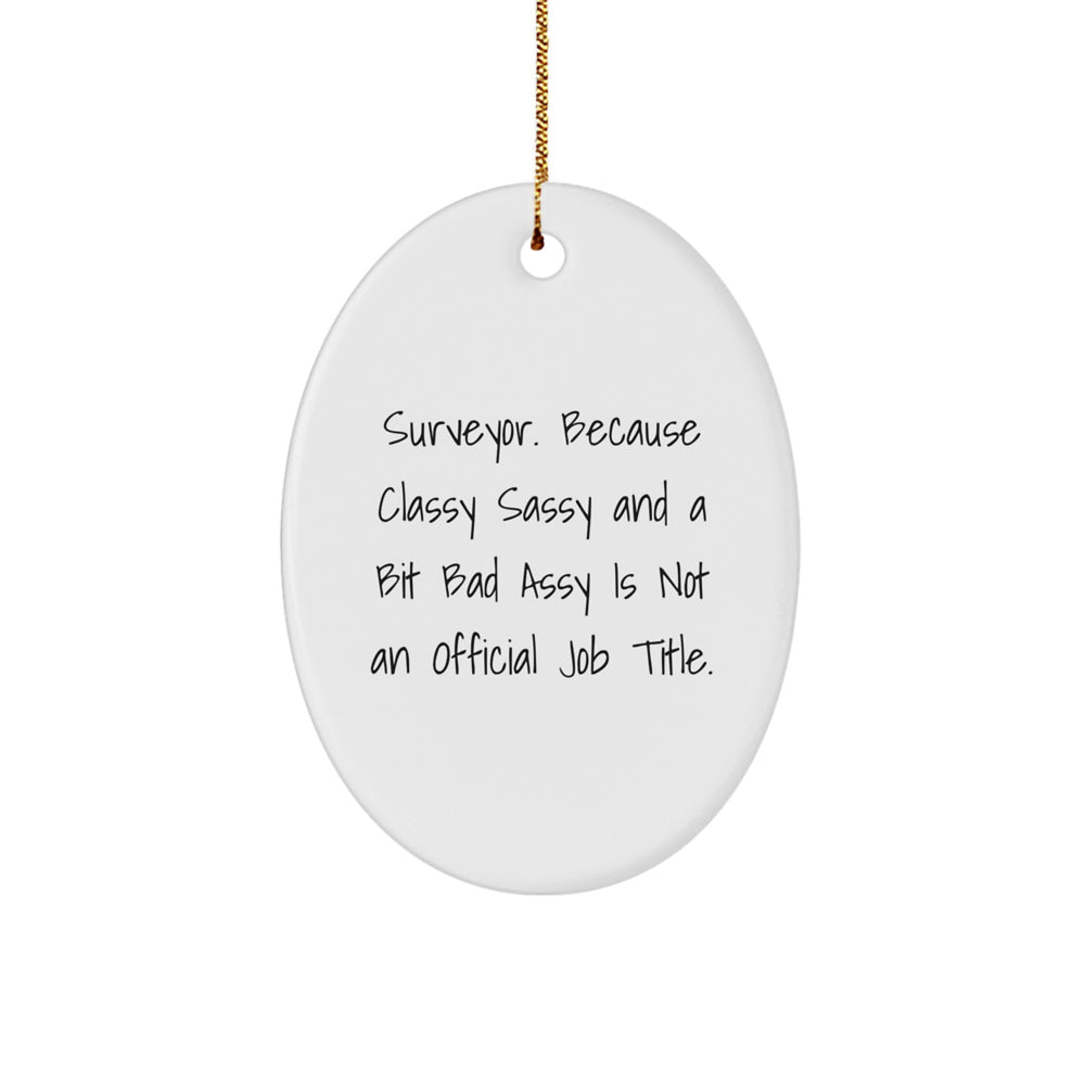 Surveyor Gifts from Friends, Surveyor Oval Ornament with Funny Quote, 'Surveyor. Because Classy Sassy And A Bit Fearlessy Is Not An Official Job Title.' for Christmas Unique Gifts - Image 1