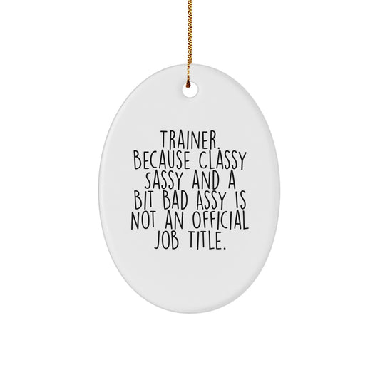 Trainer Gifts from Friends and Family - Oval Ornament with Funny Quote, 'Trainer. Because Classy Sassy And A Bit Fearlessy Is Not An Official Job Title.' - Christmas Decoration - Image 1