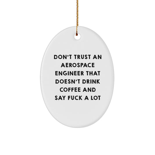 Funny Aerospace Engineer Gifts - Oval Ornament for Friends, Coworkers, and Family - Don't Trust Quote - Image 1