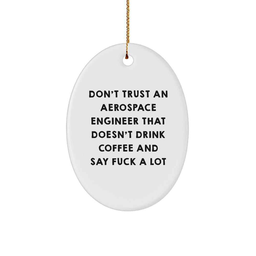 Funny Aerospace Engineer Gifts - Oval Ornament for Friends, Coworkers, and Family - Don't Trust Quote - Image 1