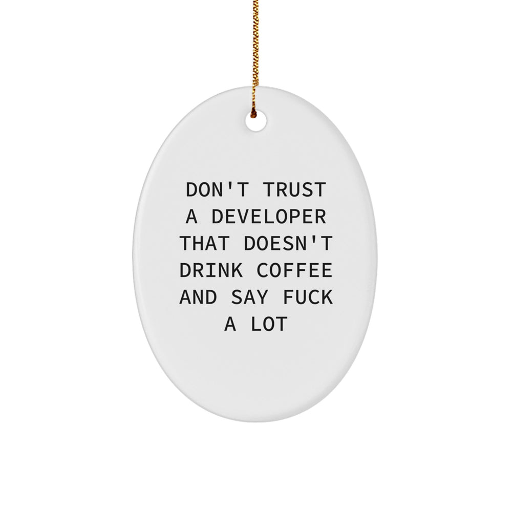 Funny Developer Gifts from Men to Friends: Don't Trust A Developer That Doesn't Drink Coffee And Say F--k A Lot Oval Ornament for Christmas - Image 1