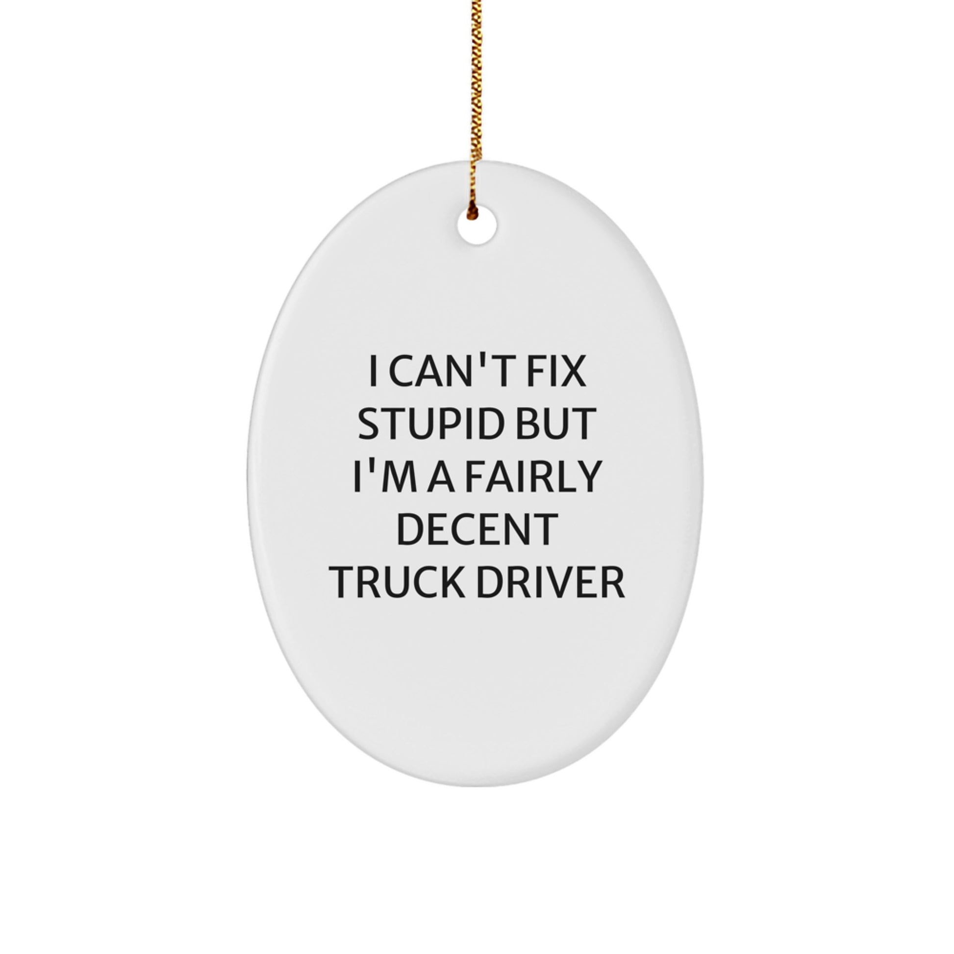 Funny Truck Driver Oval Ornament Gifts from Family - I Can't Fix Stupid But I'm A Fairly Decent Truck Driver For Christmas - Image 1