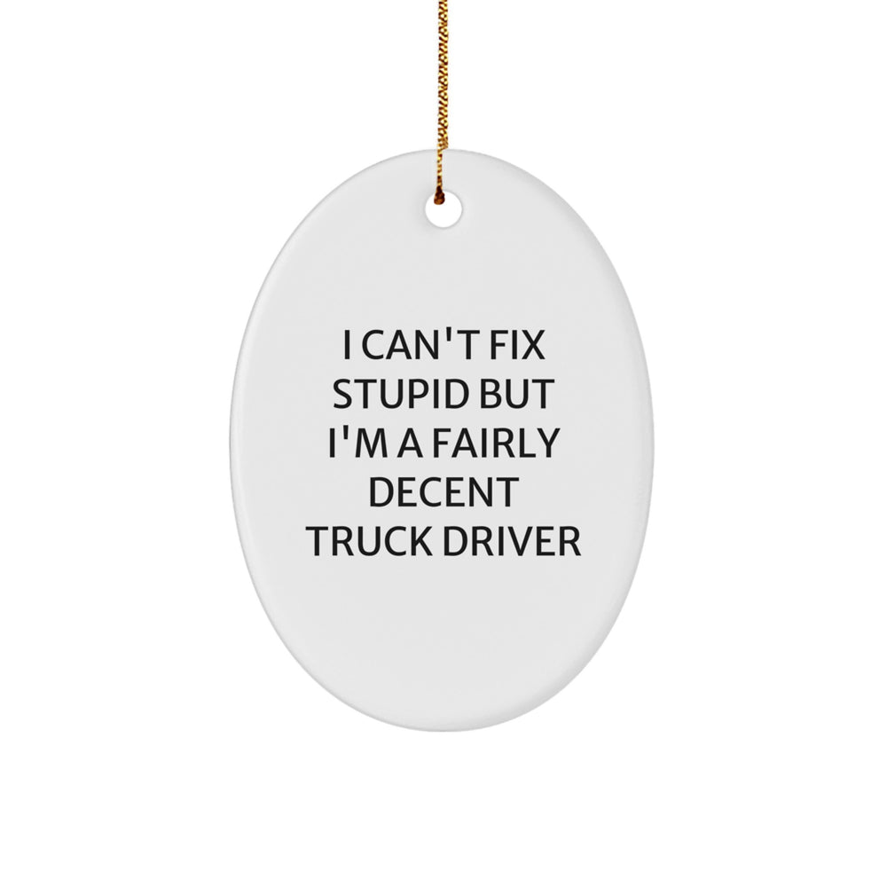 Funny Truck Driver Oval Ornament Gifts from Family - I Can't Fix Stupid But I'm A Fairly Decent Truck Driver For Christmas - Image 1