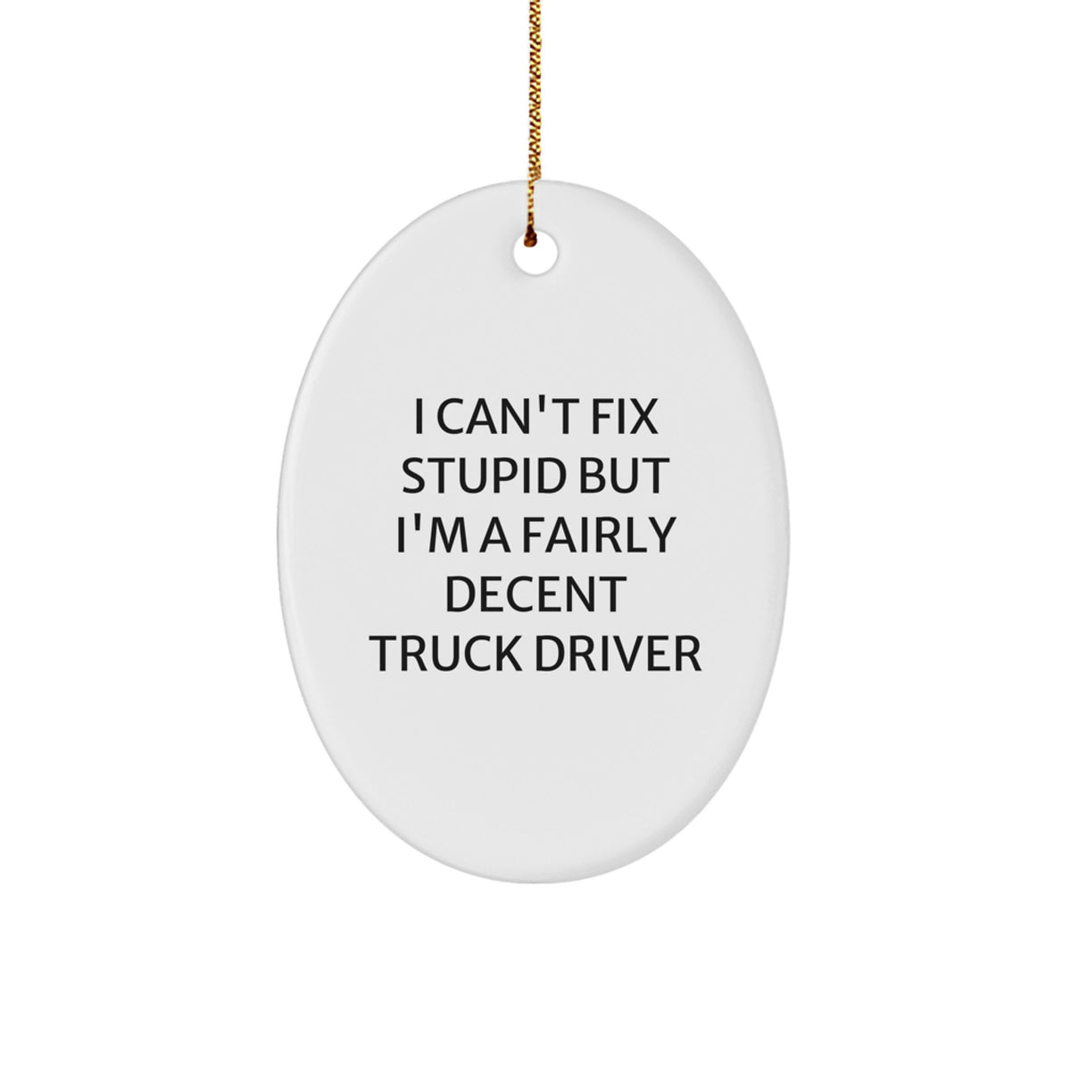 Funny Truck Driver Oval Ornament Gifts from Family - I Can't Fix Stupid But I'm A Fairly Decent Truck Driver For Christmas - Image 1