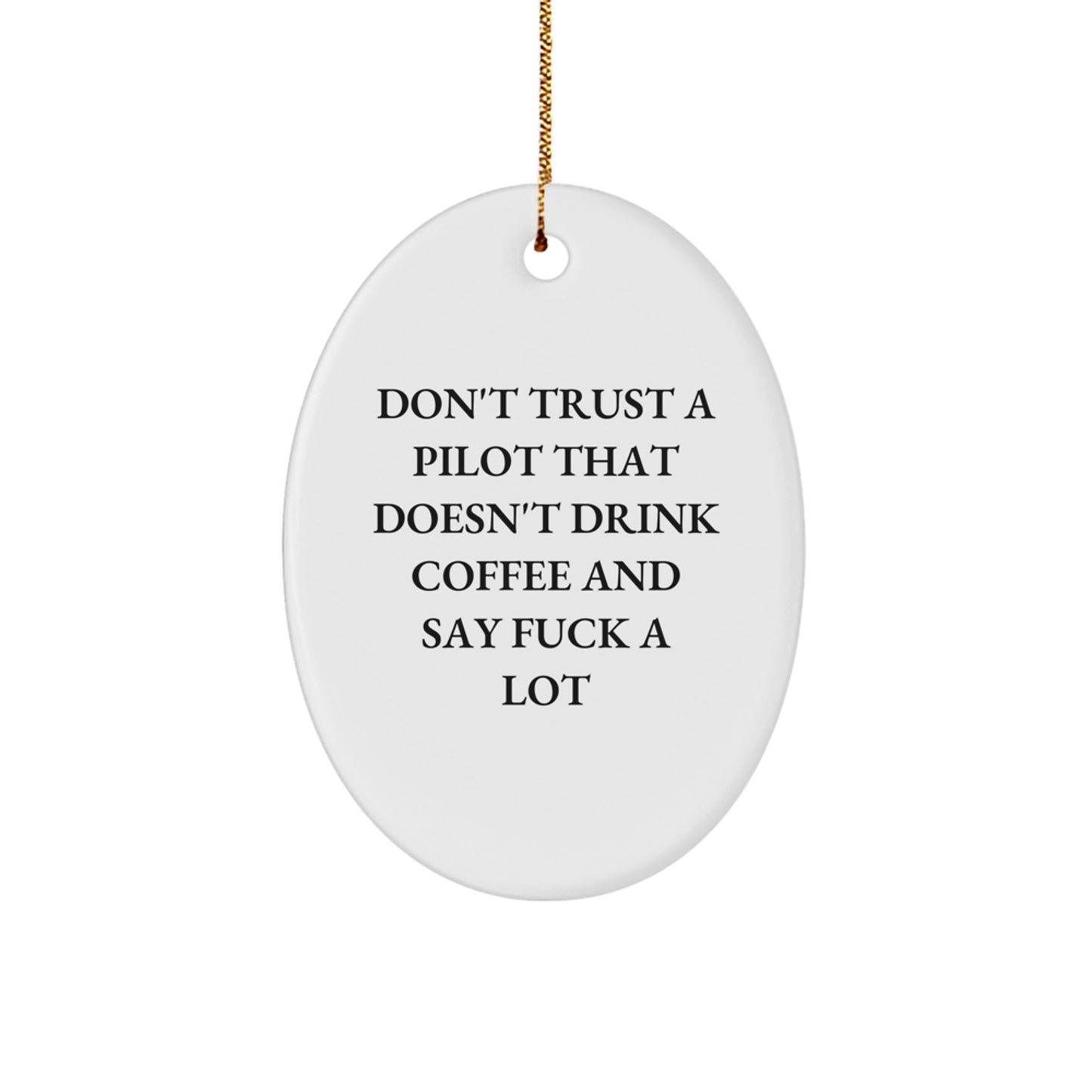 Funny Pilot Gifts from Friends for Christmas - 'Don't Trust...' Oval Ornament, Unique Pilots' Present, Gift for Men or Women - Image 1