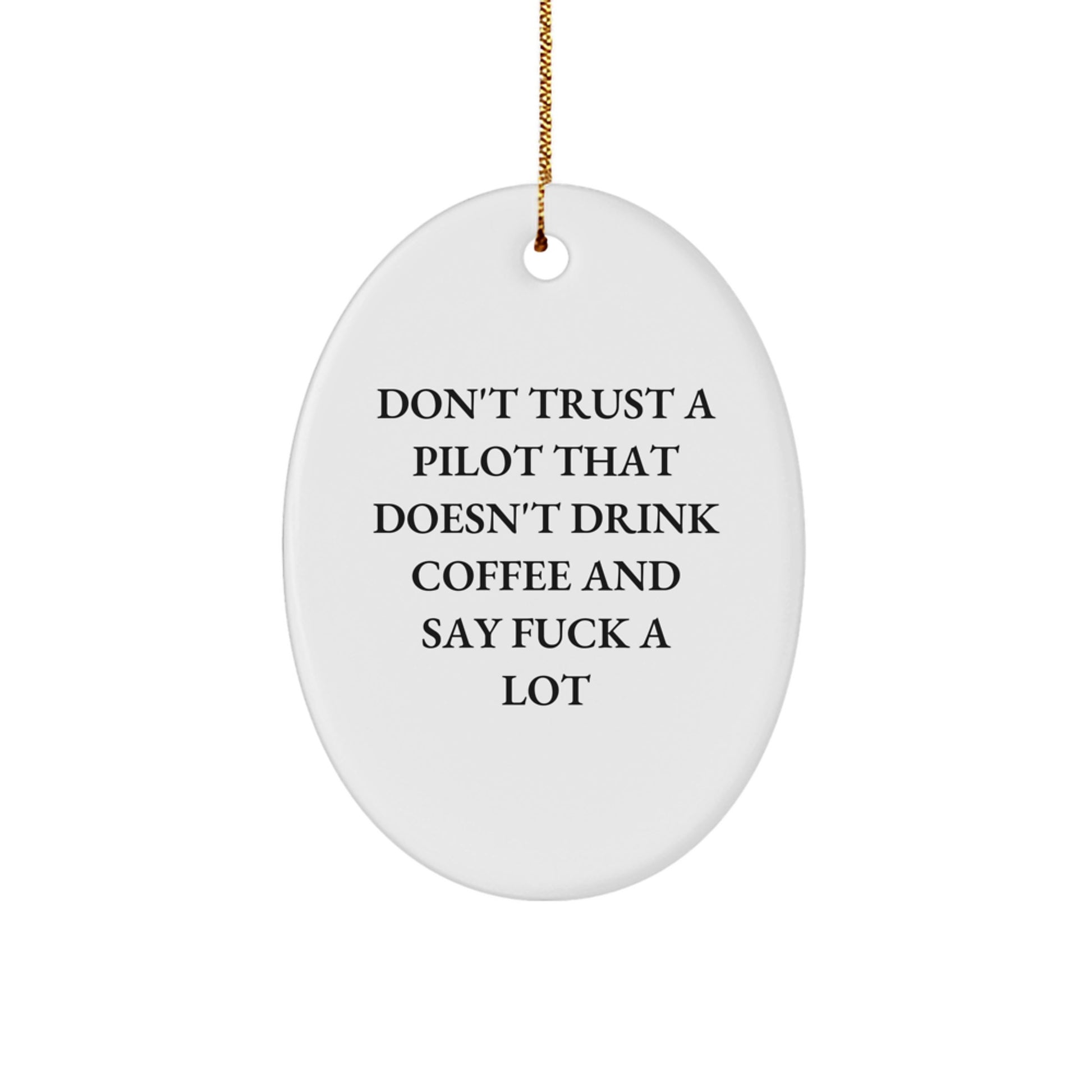 Funny Pilot Gifts from Friends for Christmas - 'Don't Trust...' Oval Ornament, Unique Pilots' Present, Gift for Men or Women - Image 1