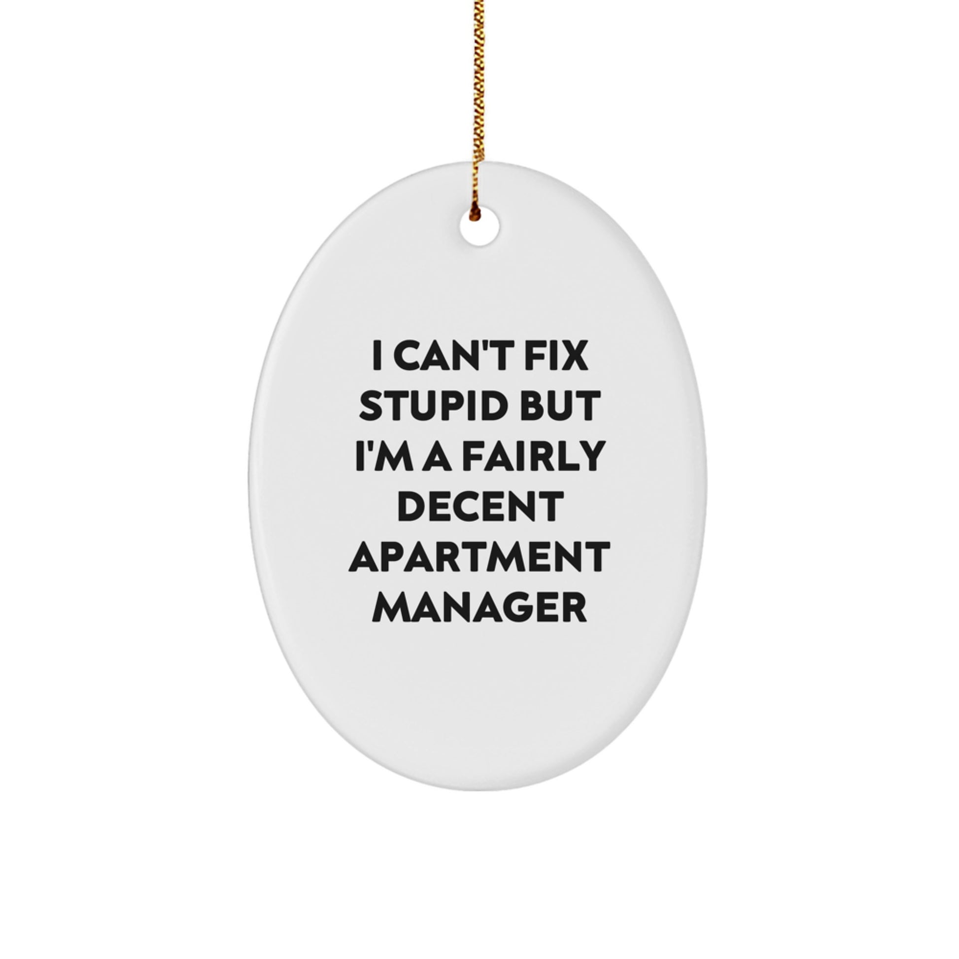 Funny Apartment Manager Gifts from Friends for I Can't Fix Stupid Oval Ornament Christmas Decor - Image 1