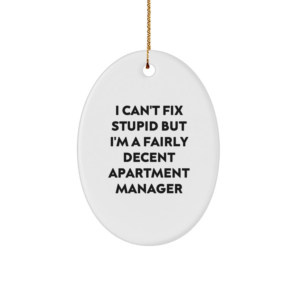 Funny Apartment Manager Gifts from Friends for I Can't Fix Stupid Oval Ornament Christmas Decor - Image 1