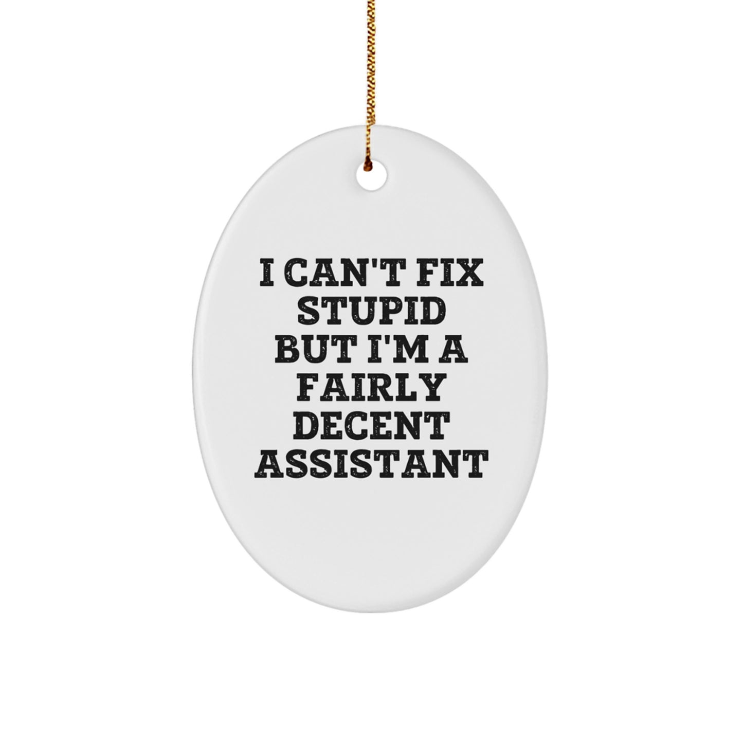 Funny Assistant Gifts for Women, Men, Friends, and Family - Oval Ornament with 'I Can't Fix Stupid But I'm A Fairly Decent Assistant' Quote - Christmas Memorable Present - Image 1