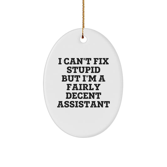Funny Assistant Gifts for Women, Men, Friends, and Family - Oval Ornament with 'I Can't Fix Stupid But I'm A Fairly Decent Assistant' Quote - Christmas Memorable Present - Image 1