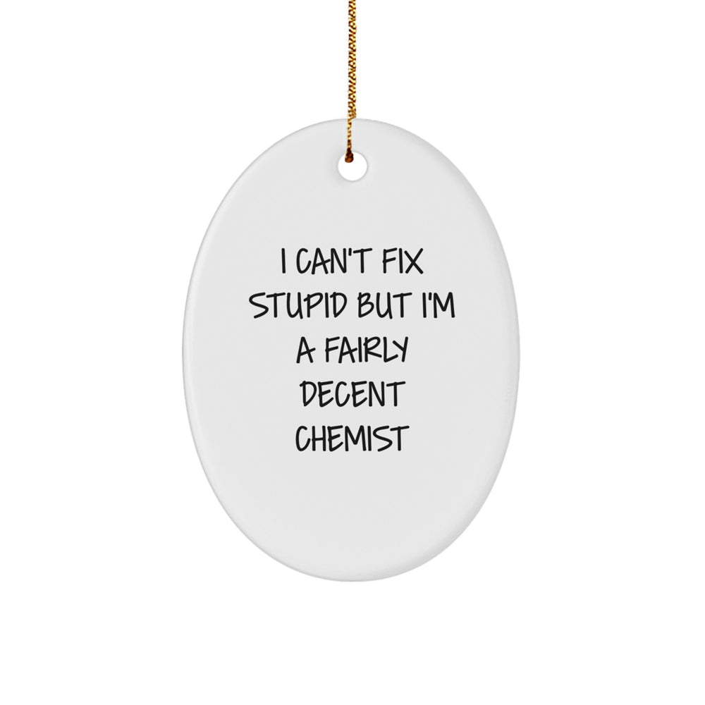 Funny Chemist Gifts - Oval Ornament 'I Can't Fix Stupid But I'm A Fairly Decent Chemist' - Christmas Unique Gifts from Friends to Family - Image 1