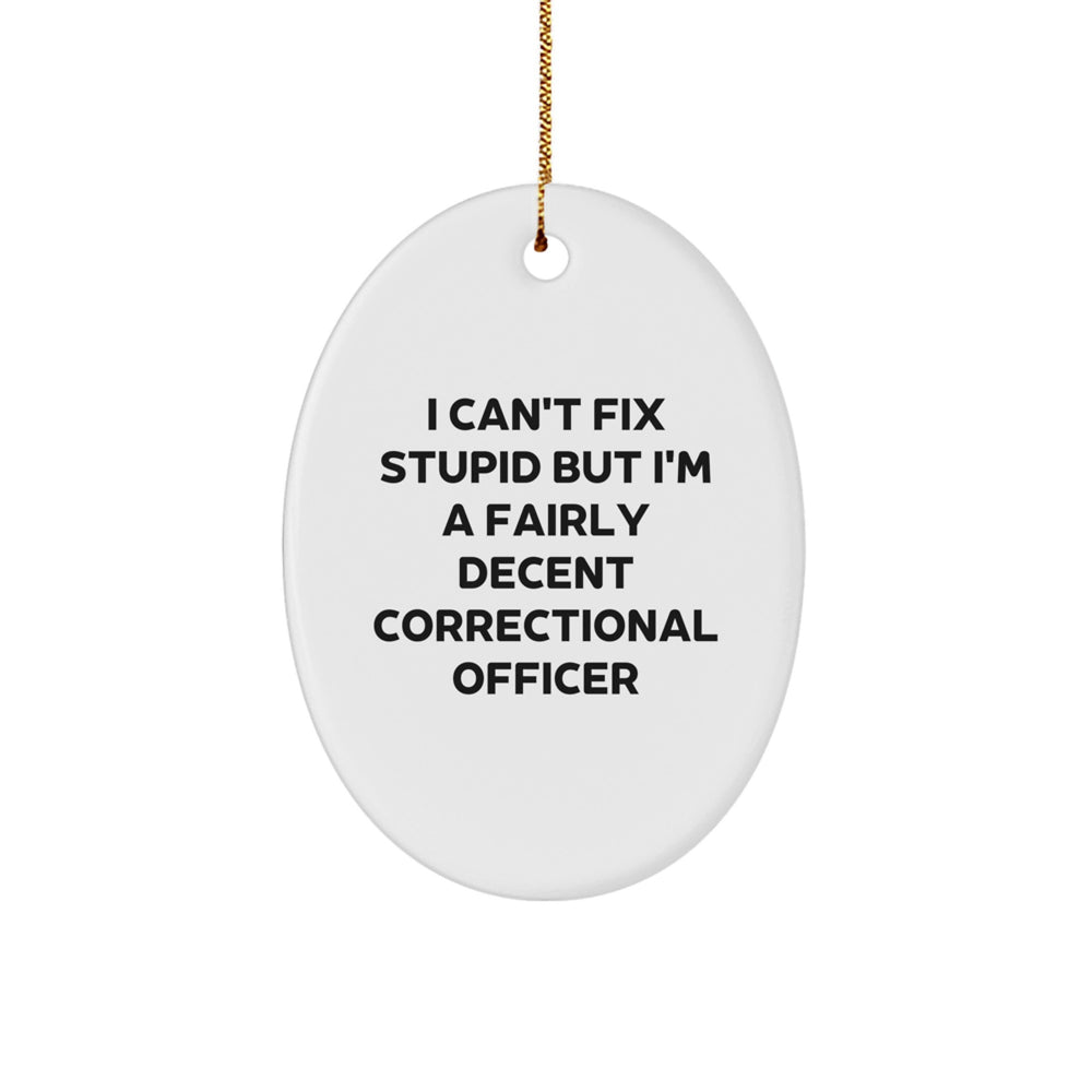 Funny Correctional Officer Gifts - 'I Can't Fix Stupid But I'm A Fairly Decent' Oval Ornament for Christmas - Image 1