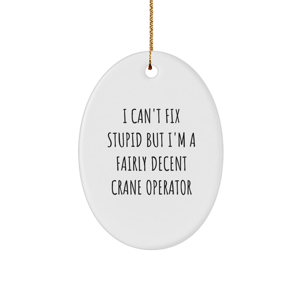 Funny Crane Operator Gifts from Friends, Family, or Coworkers for Christmas Unique Gifts - Oval Ornament, 'I Can't Fix Stupid But I'm A Fairly Decent Crane Operator' Humorous Decoration - Image 1
