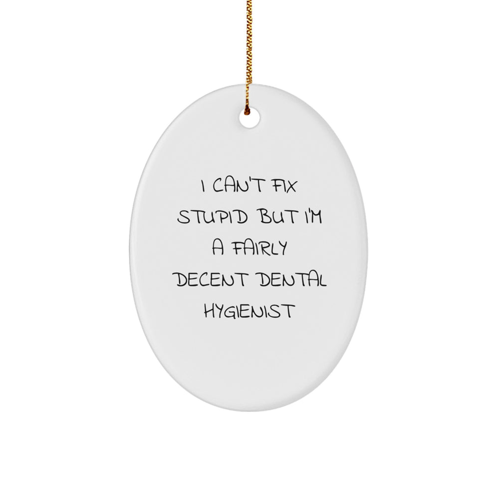 Dental Hygienist Gifts from Friends - Funny Oval Ornament 'I Can't Fix Stupid But I'm A Fairly Decent Dental Hygienist' for Christmas Unique Gifts - Image 1