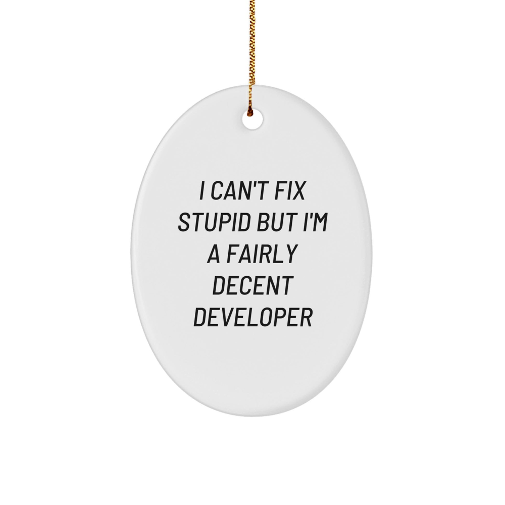 Funny Developer Gifts from Family - 'I Can't Fix Stupid' Oval Ornament for Christmas - Image 1