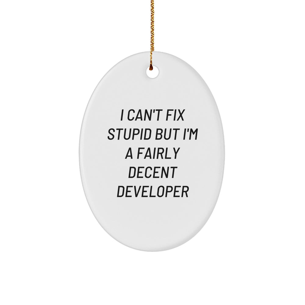Funny Developer Gifts from Family - 'I Can't Fix Stupid' Oval Ornament for Christmas - Image 1