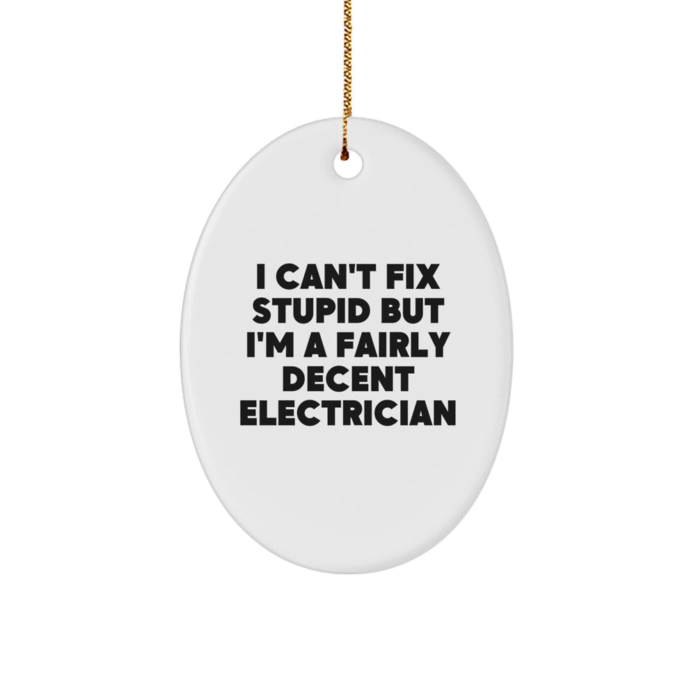 Funny Electrician Gifts from Men to Coworkers - I Can't Fix Stupid Oval Ornament for Electricians, Christmas Unique Gifts - Image 1