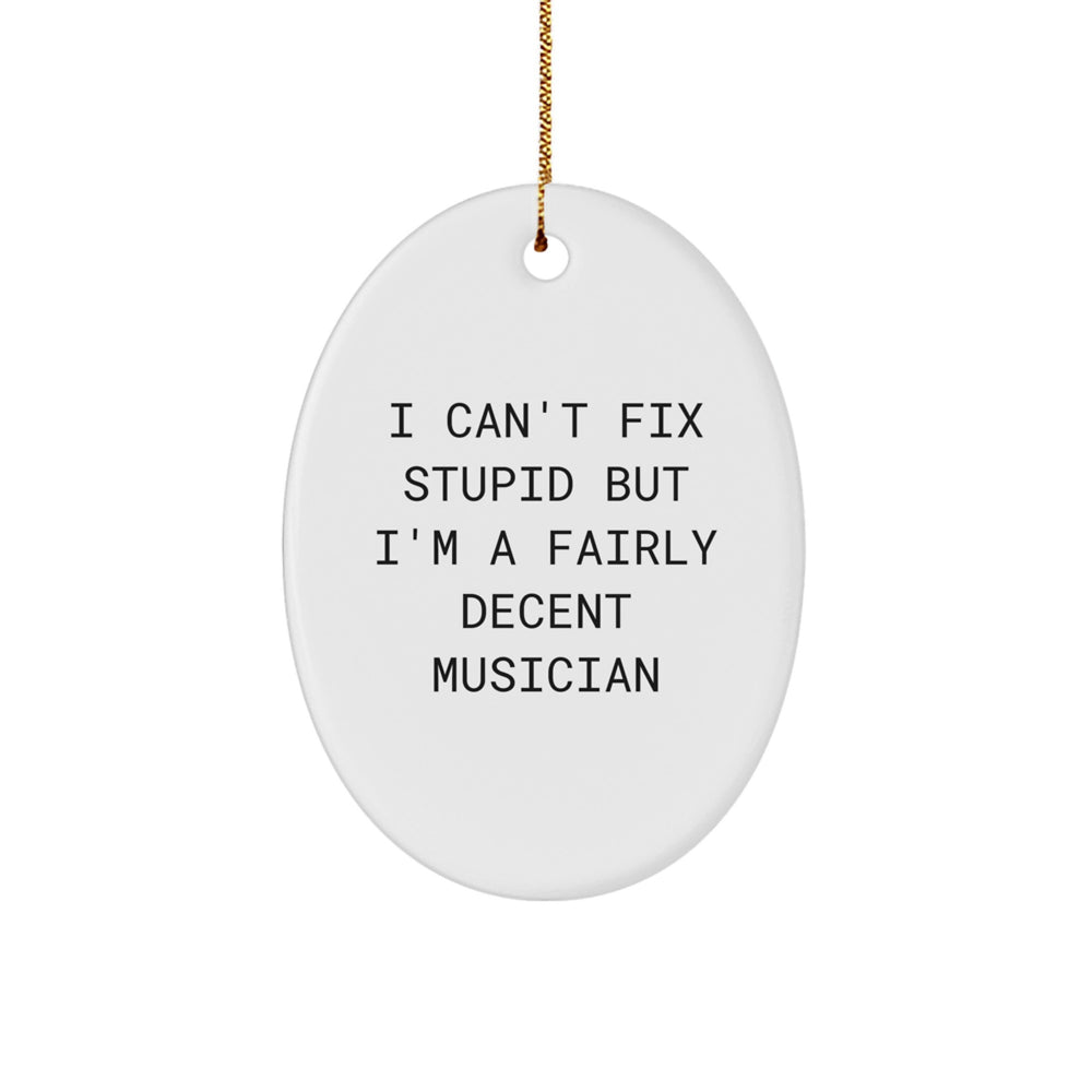 Funny Musician Gifts from Friends for Christmas - Oval Ornament I Can't Fix Stupid But I'm A Fairly Decent Musician - Image 1
