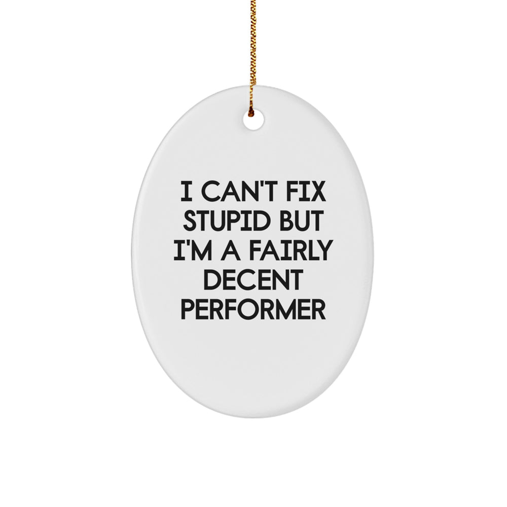 Funny Performer Oval Ornament Gifts from Friends - I Can't Fix Stupid But I'm A Fairly Decent Performer - Oval Ornament for Men, Women, Family - Image 1