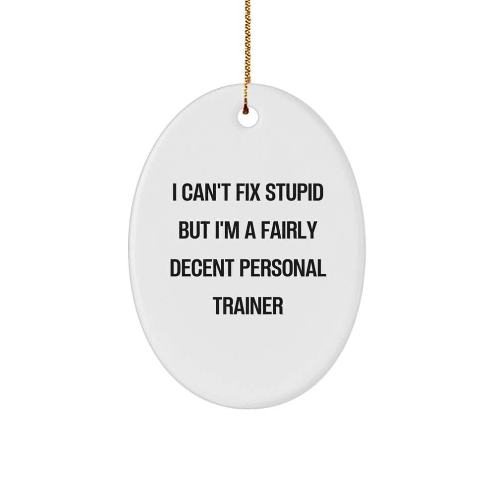 Personal Trainer Gifts from Friends for Christmas - Funny Oval Ornament I Can't Fix Stupid But I'm A Fairly Decent Personal Trainer - Image 1