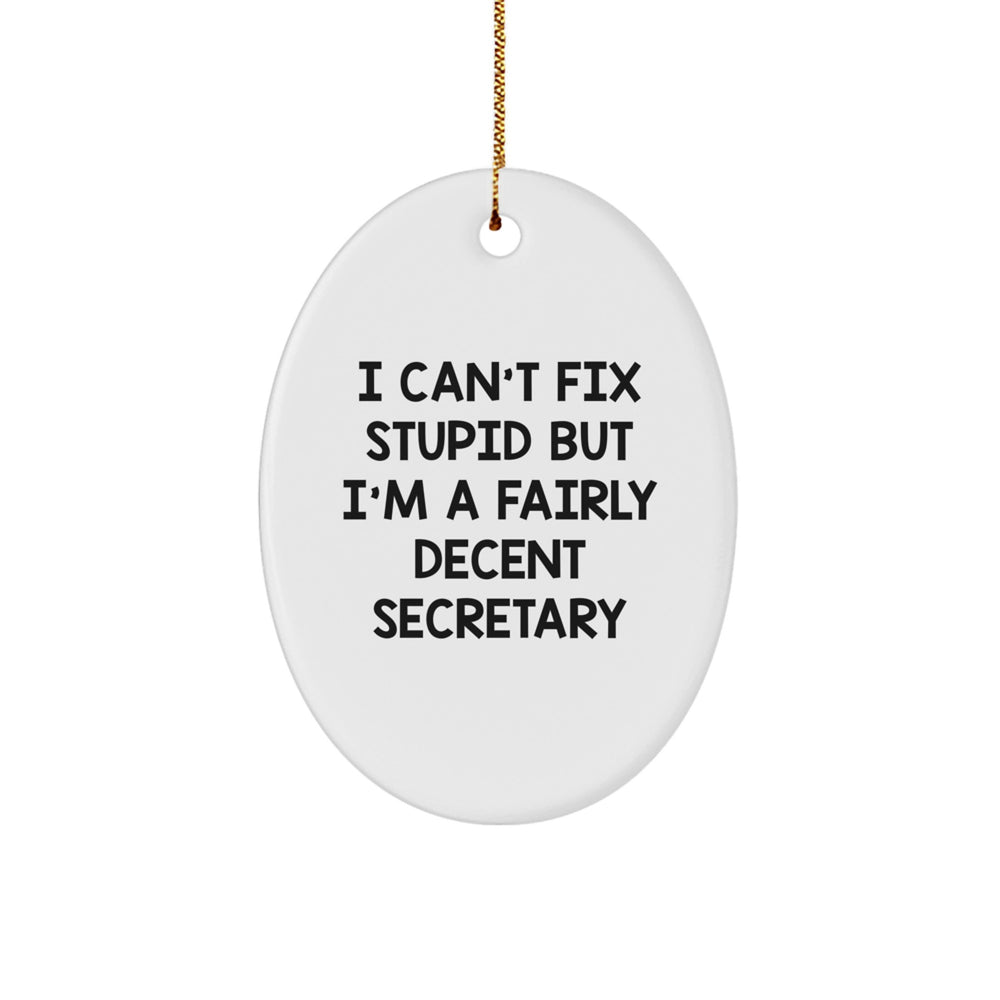 Funny Secretary Gift I Can't Fix Stupid But I'm A Fairly Decent Secretary Oval Ornament, Gifts from Friends and Family for Secretary, Christmas Unique Gifts - Image 1