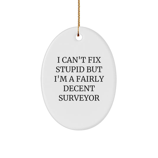 Funny Surveyor Gifts - I Can't Fix Stupid But I'm A Fairly Decent Surveyor Oval Ornament, White, 3.25" Tall, Perfect for Christmas Unique Gifts from Friends to Surveyor Men - Image 1