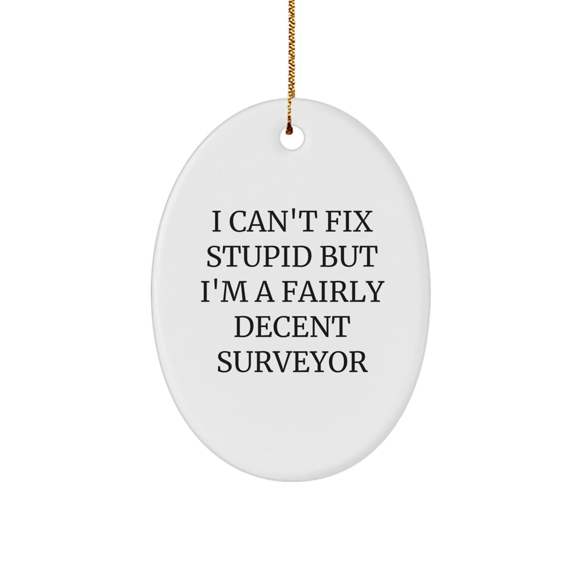 Funny Surveyor Gifts - I Can't Fix Stupid But I'm A Fairly Decent Surveyor Oval Ornament, White, 3.25" Tall, Perfect for Christmas Unique Gifts from Friends to Surveyor Men - Image 1