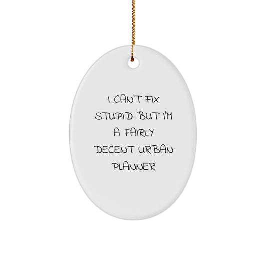 Funny Urban Planner Gifts from Friends and Family - Oval Ornament for Christmas Decorations, I 'Can't Fix Stupid' Quote, White Oval Shaped Decor - Image 1