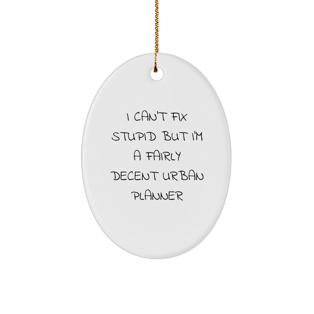 Funny Urban Planner Gifts from Friends and Family - Oval Ornament for Christmas Decorations, I 'Can't Fix Stupid' Quote, White Oval Shaped Decor - Image 1